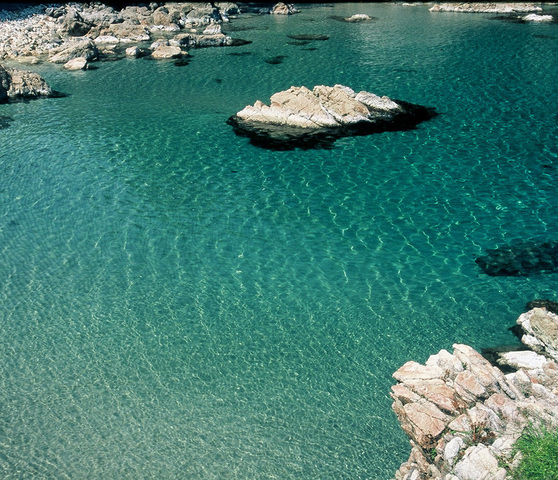 pic_point01 (1).jpg